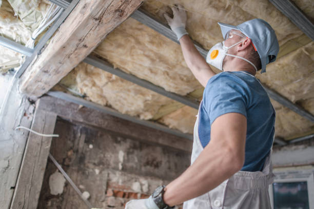 Best DIY Insulation Kits and Guidance in Draper, UT