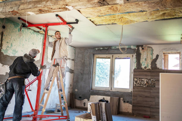 Best Eco-Friendly Insulation in Draper, UT