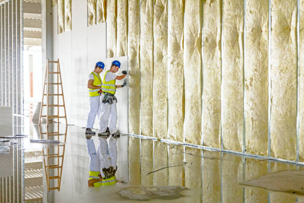 Best Blown-in Insulation in Draper, UT